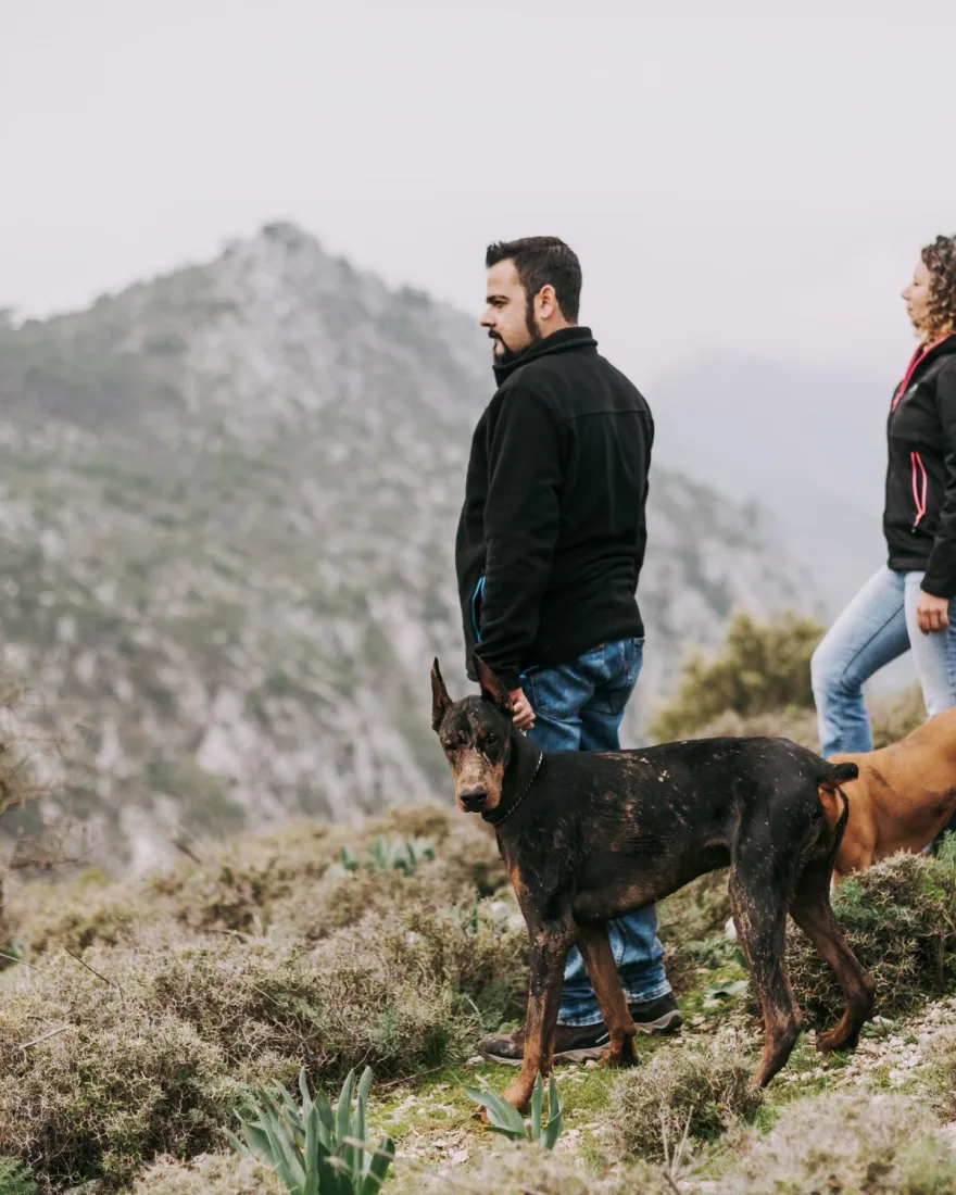 Una pareja de ruta por la sierra con sus dos perros