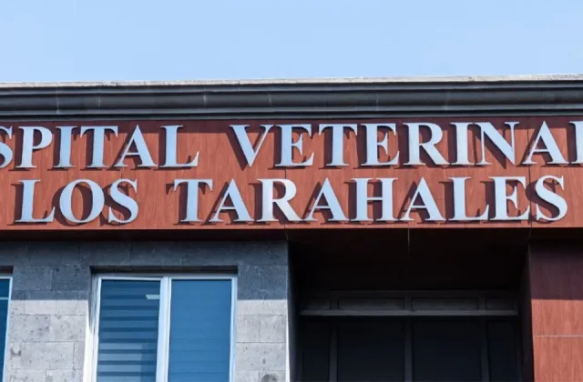 Hospital Veterinario Los Tarahales