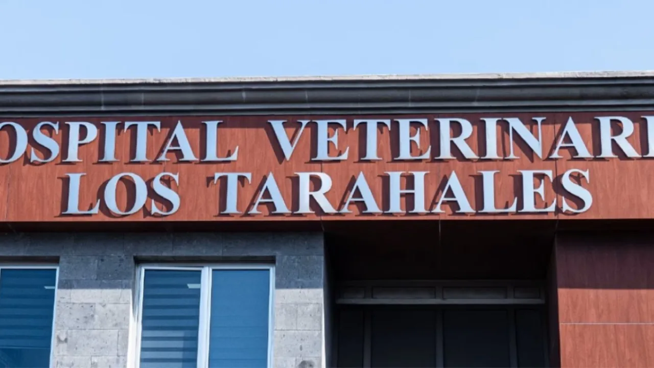 Hospital Veterinario Los Tarahales