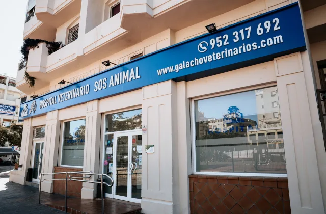 Hospital Veterinario SOS Animal