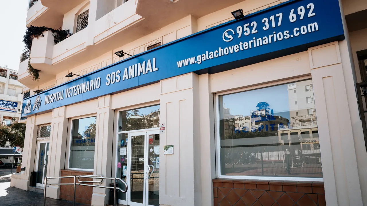 Hospital Veterinario SOS Animal