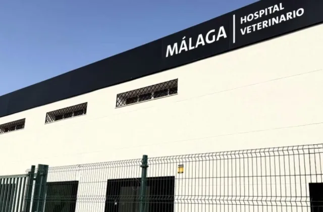 Evidensia Málaga Hospital Veterinario