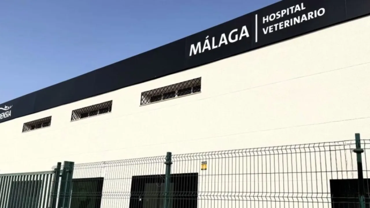 Evidensia Málaga Hospital Veterinario