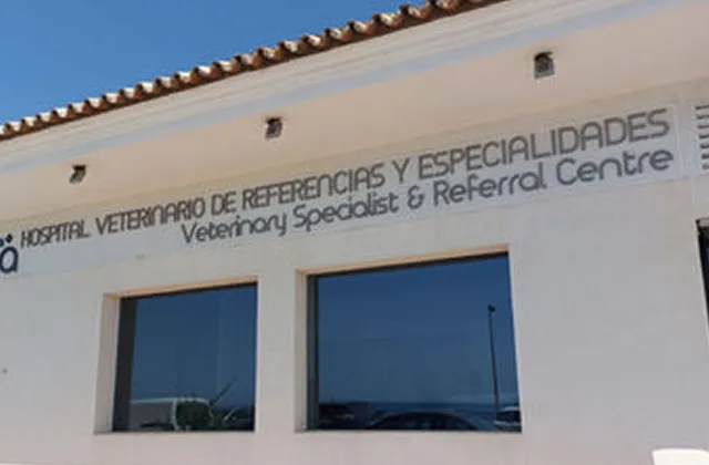 Bluecare Partners Hospital Veterinario