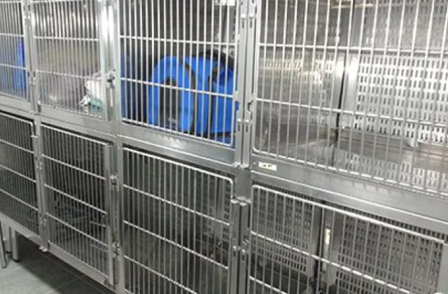 Clínica Veterinaria Animais