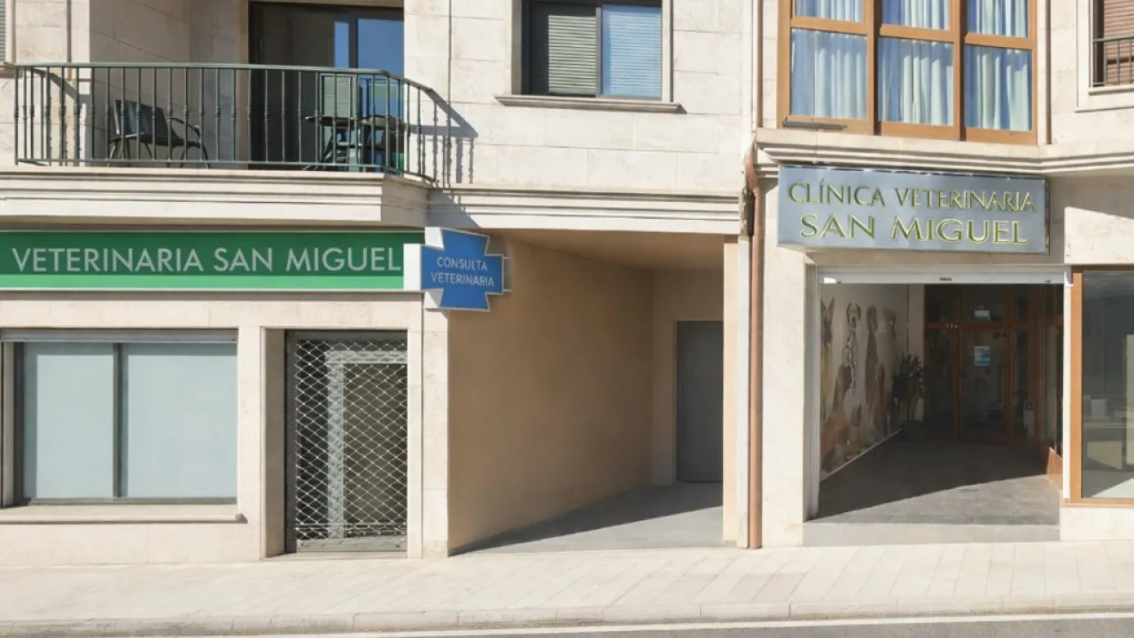 HVS Barrantes · Hospital Veterinario do Salnés