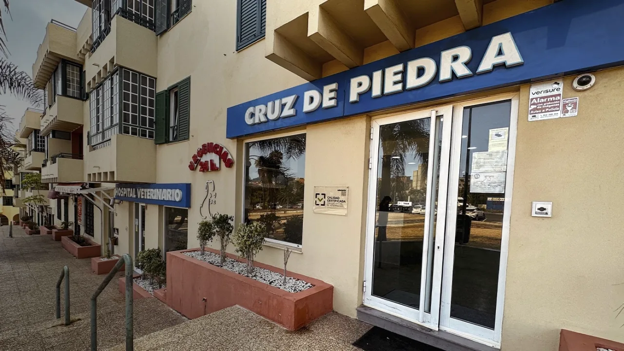 Hospital Veterinario Cruz de Piedra