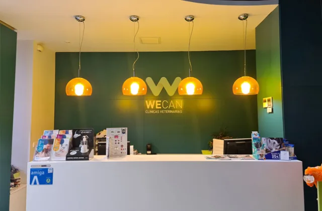 Wecan Segovia