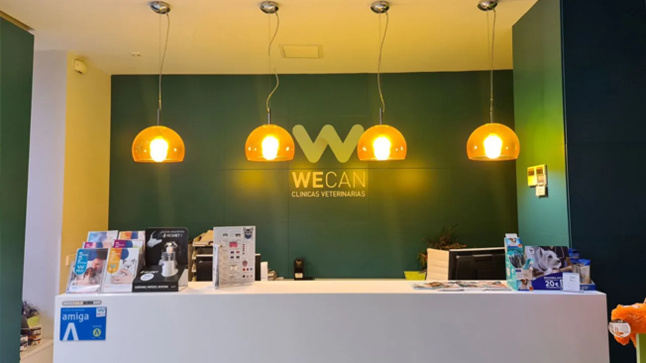 Wecan Segovia