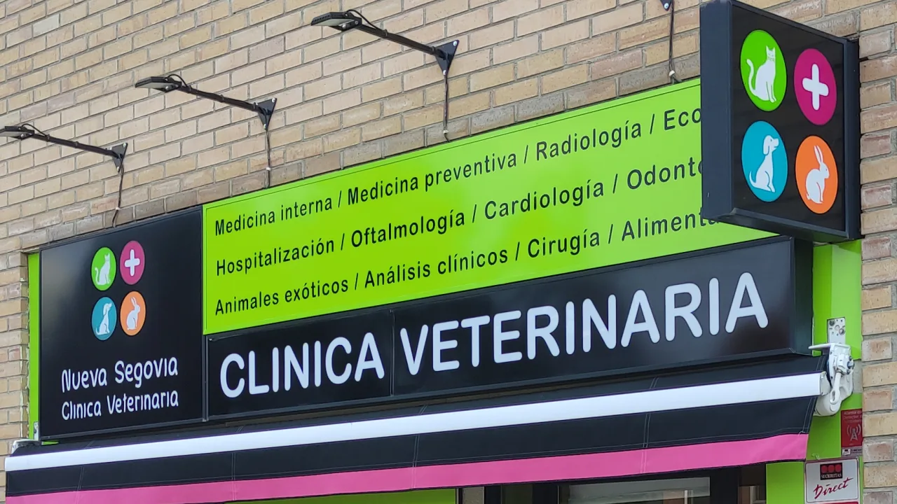 Clínica Veterinaria Nueva Segovia