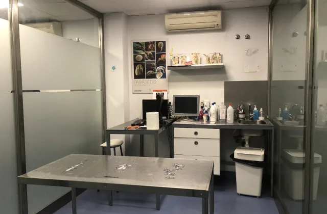 Hospital Veterinario Aljarafe Norte