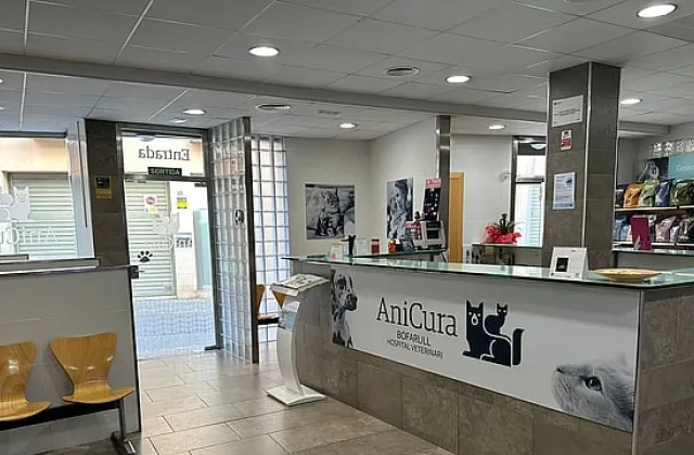 AniCura Bofarull Hospital Veterinari