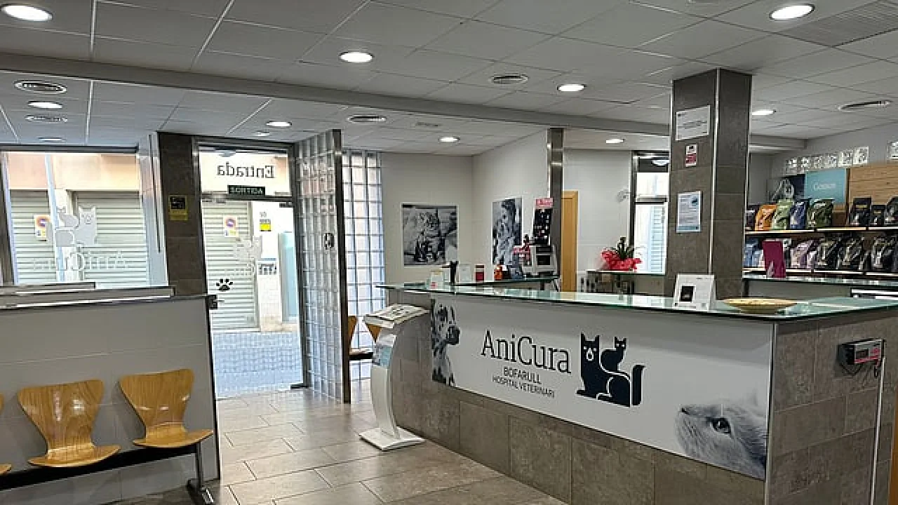 AniCura Bofarull Hospital Veterinari