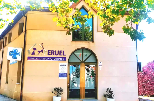 Centro Clínico Veterinario Teruel