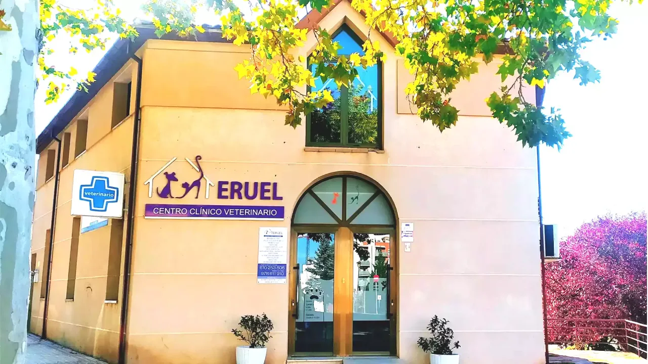 Centro Clínico Veterinario Teruel