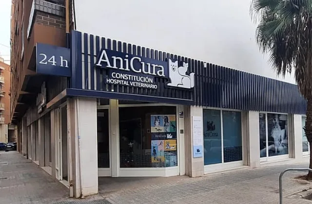 AniCura Constitución Hospital Veterinario