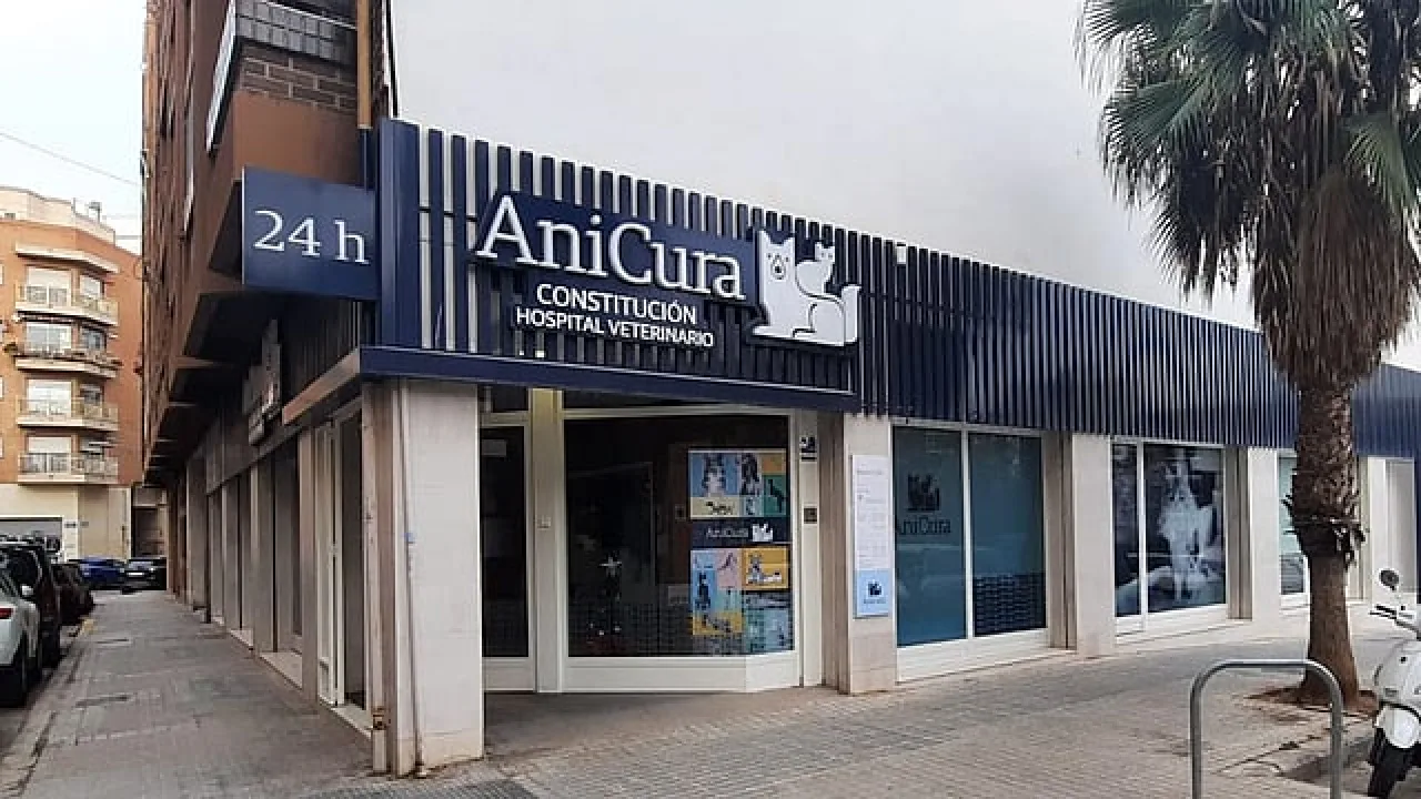 AniCura Constitución Hospital Veterinario
