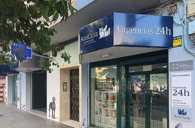 AniCura Benipeixcar Hospital Veterinario