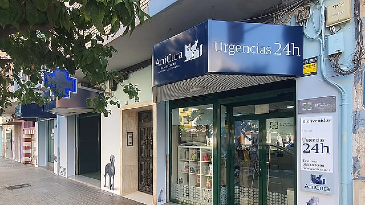 AniCura Benipeixcar Hospital Veterinario