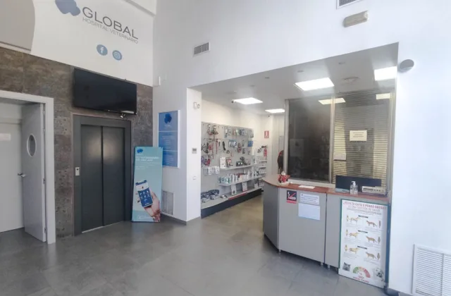 Global Hospital Veterinario