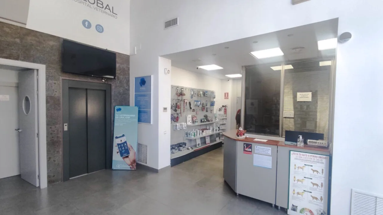 Global Hospital Veterinario