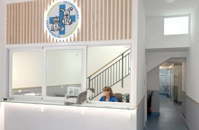 Urgencias Veterinarias Zaragoza
