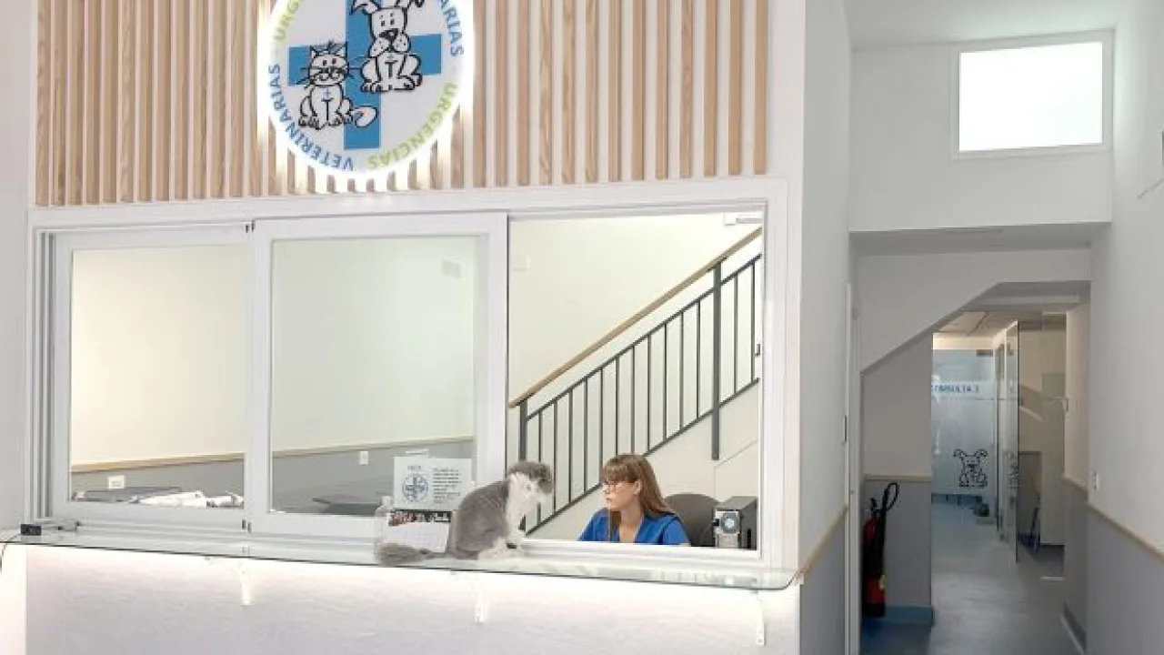 Urgencias Veterinarias Zaragoza