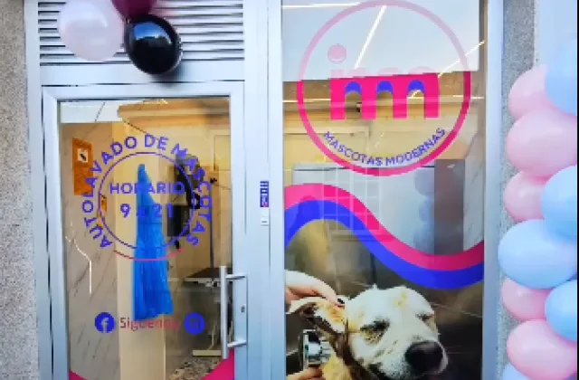 Mascotas Modernas