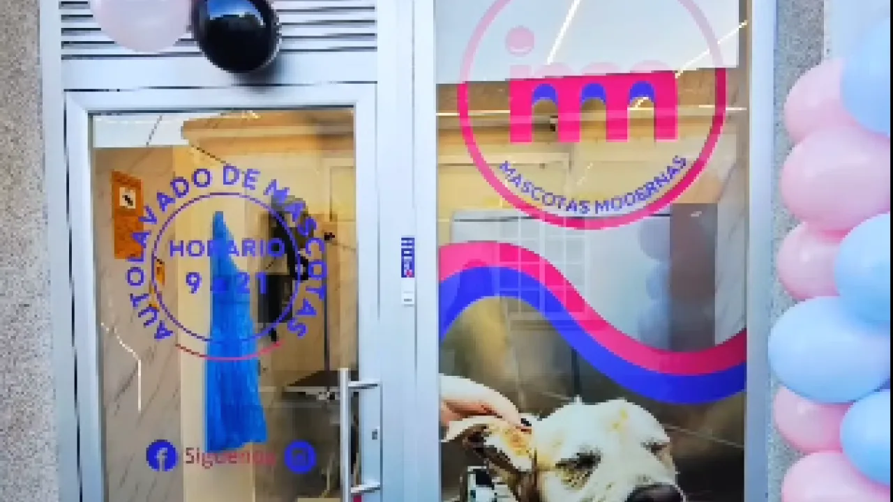 Mascotas Modernas