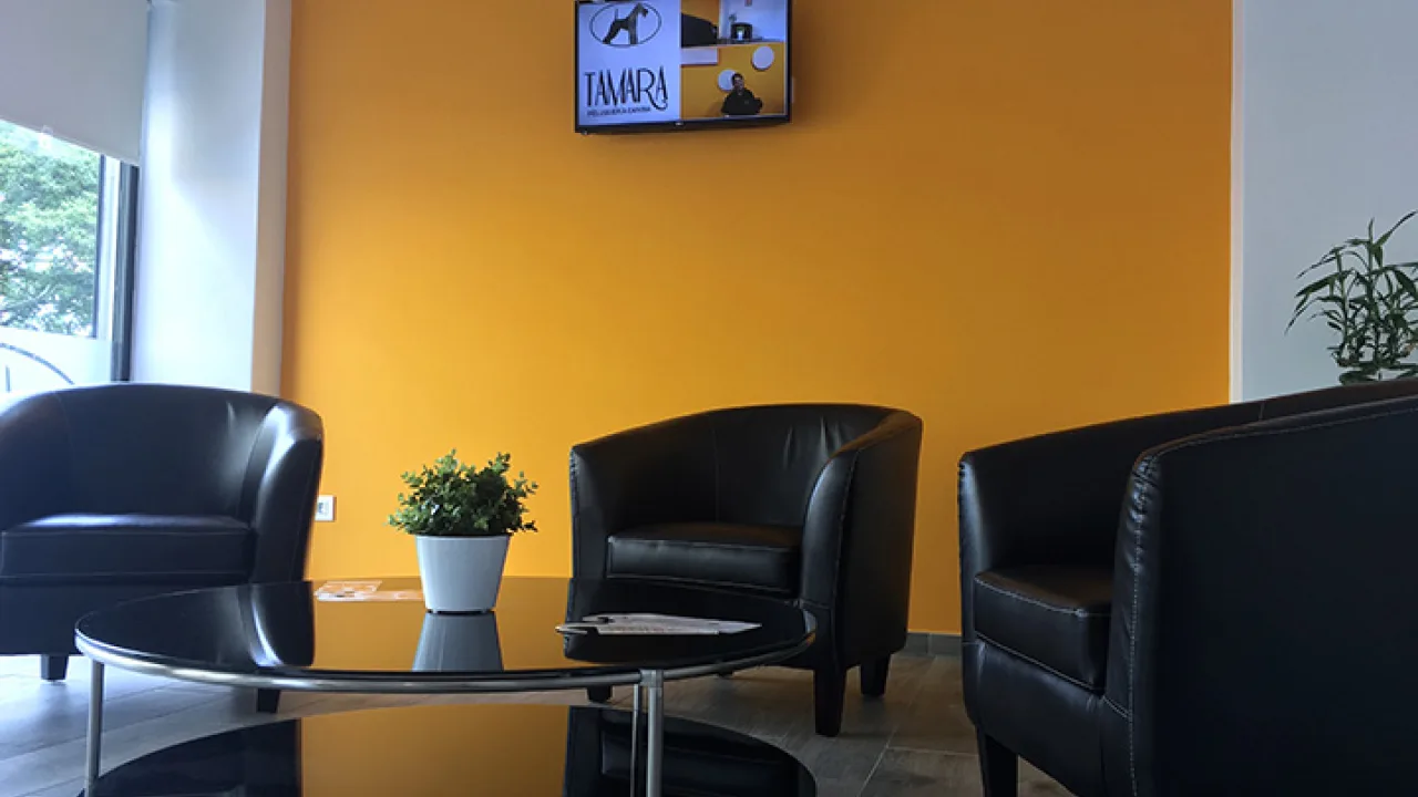 Centro de Estética Canina Tamara