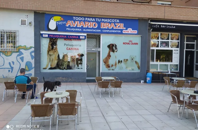 New Aviario Brazil