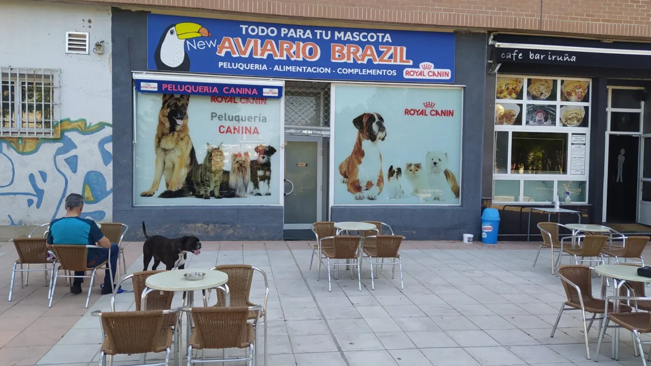 New Aviario Brazil