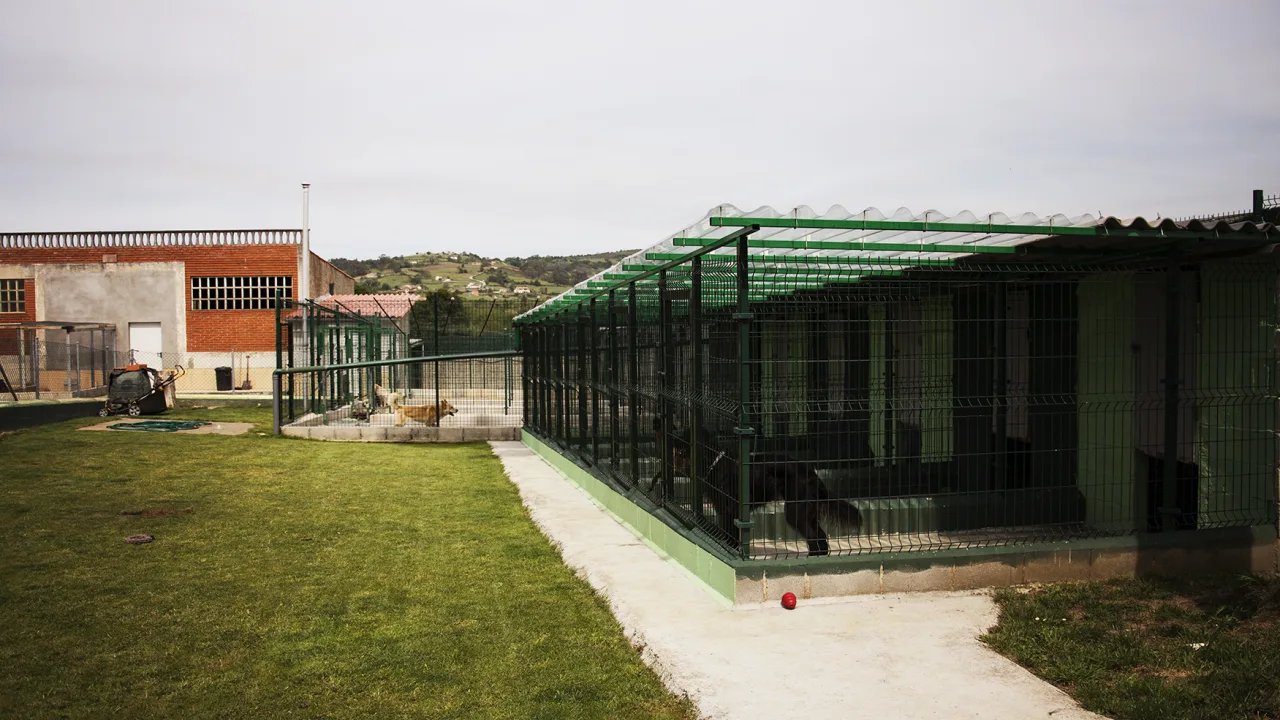 Hotel Entreperros