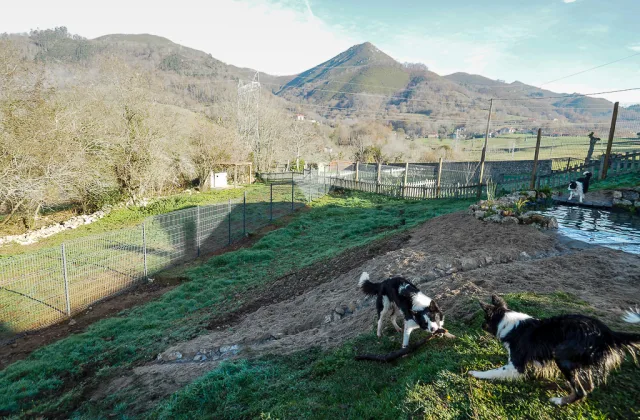La Torre Canina