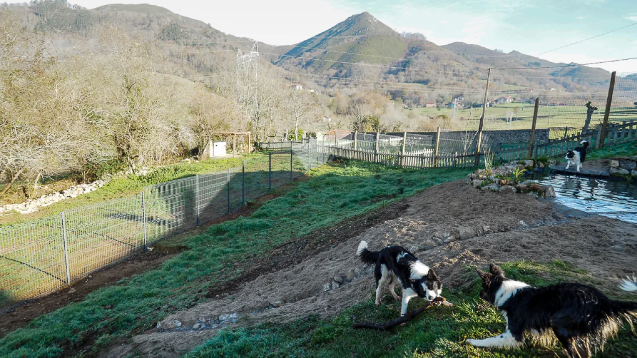 La Torre Canina