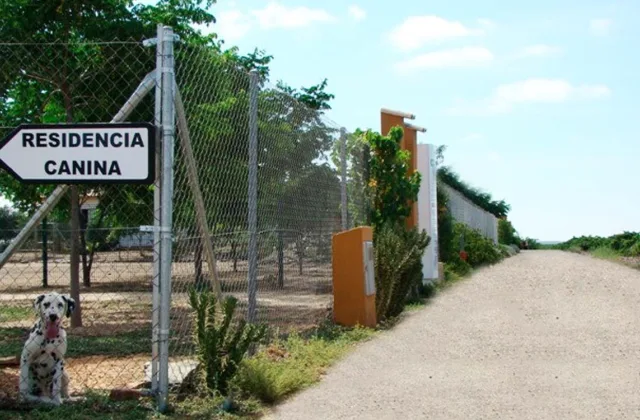Residencia Canina Cliveal
