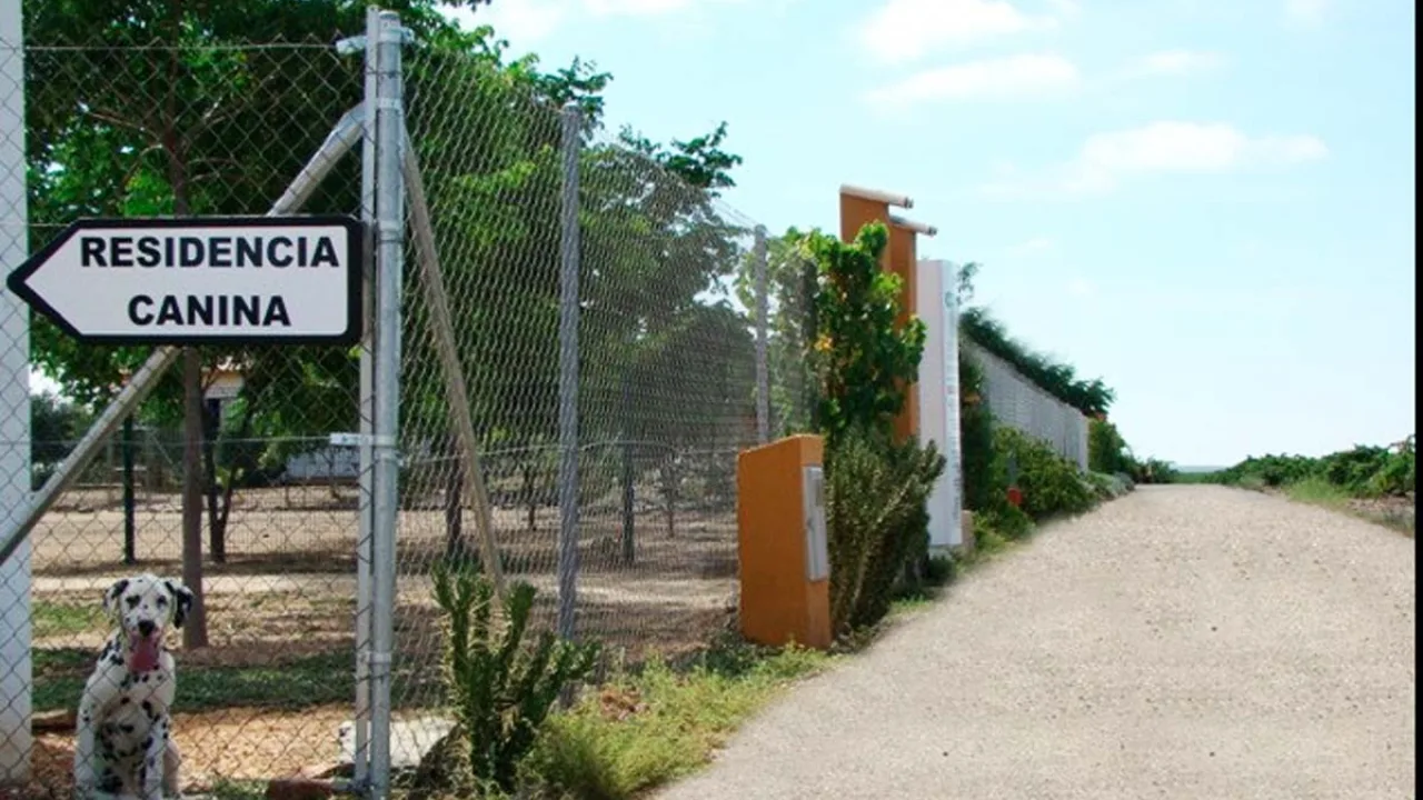 Residencia Canina Cliveal