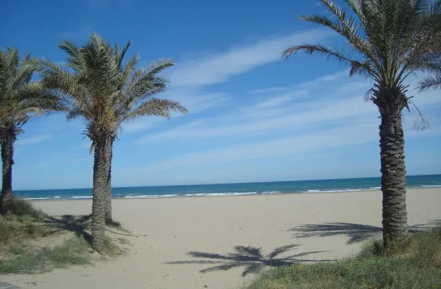 Playa canina del Pinar
