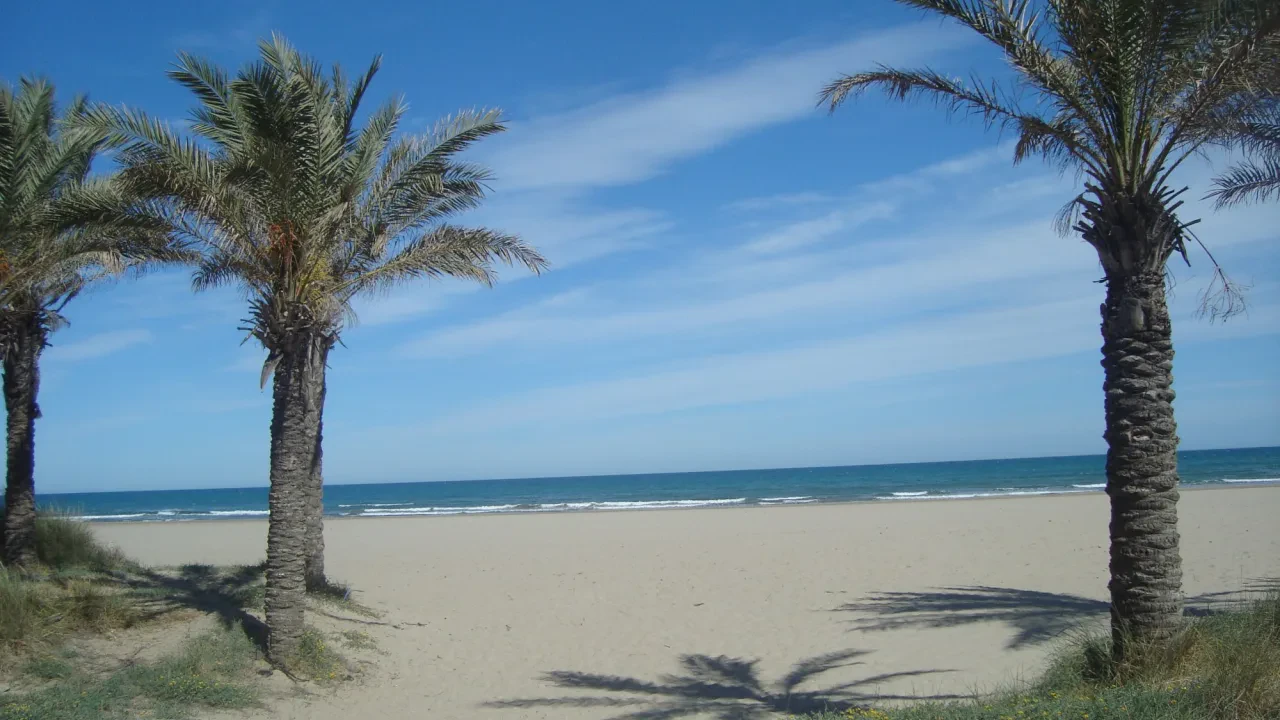 Playa canina del Pinar