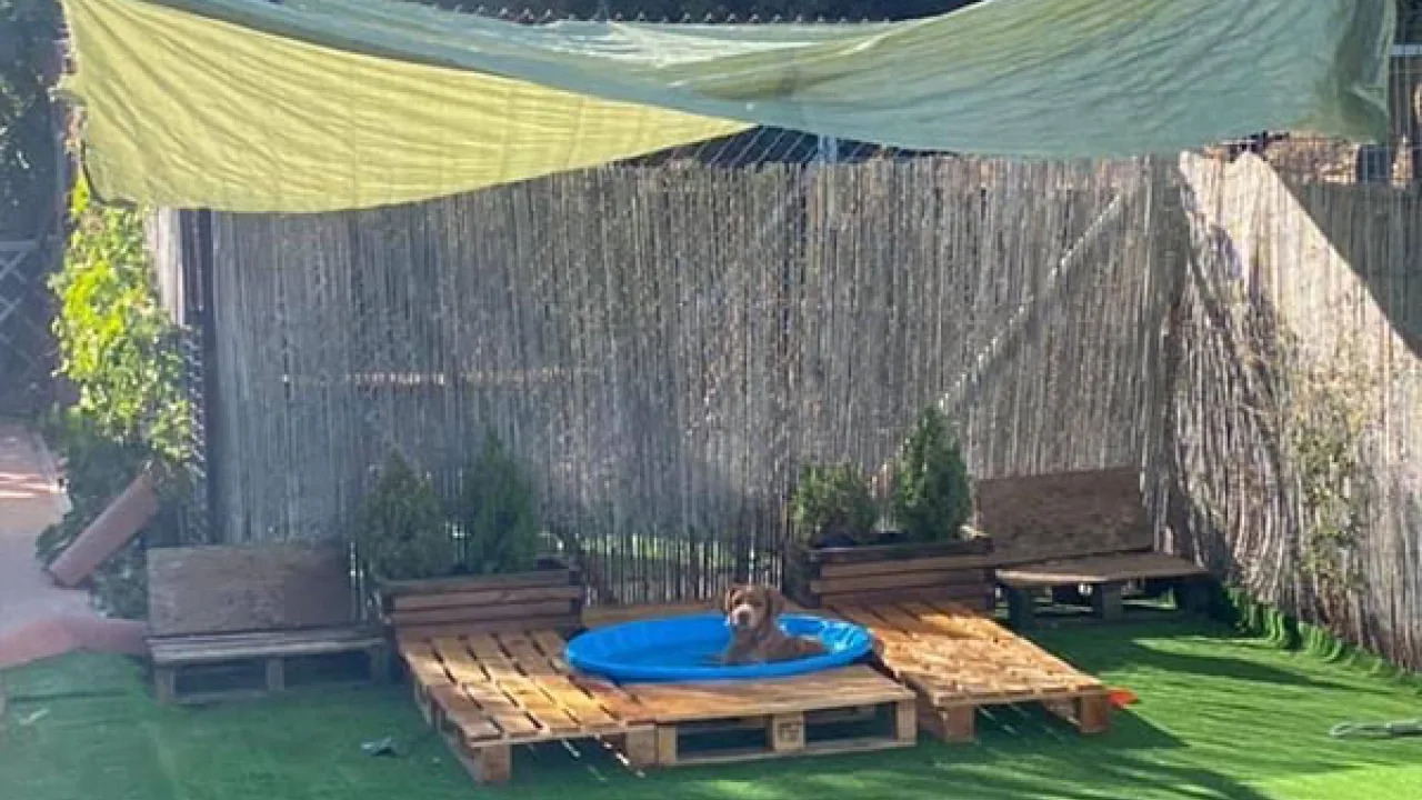 Hotel Canino Villanueva