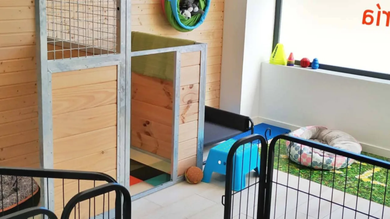 Kelpie Servicios Caninos
