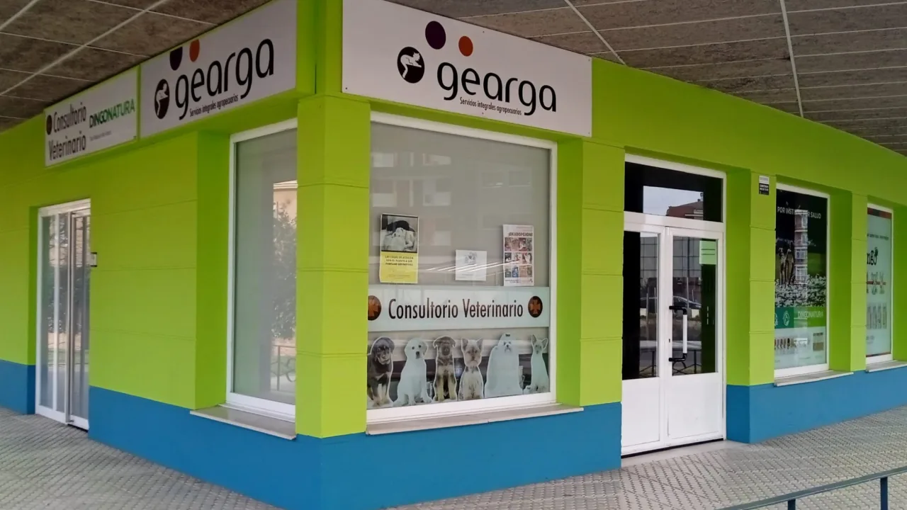 Gearga