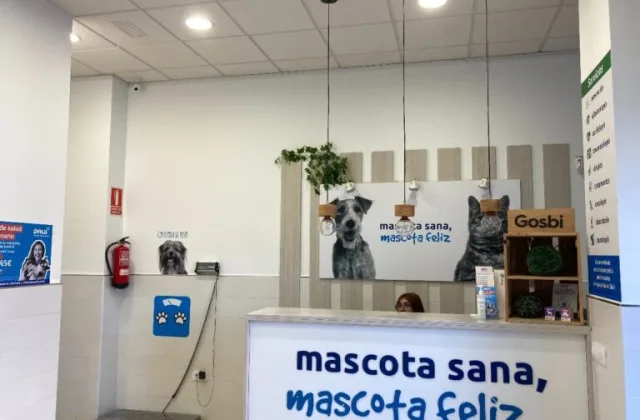 Peluquería Clínicas Ávila Cádiz Asdrúbal