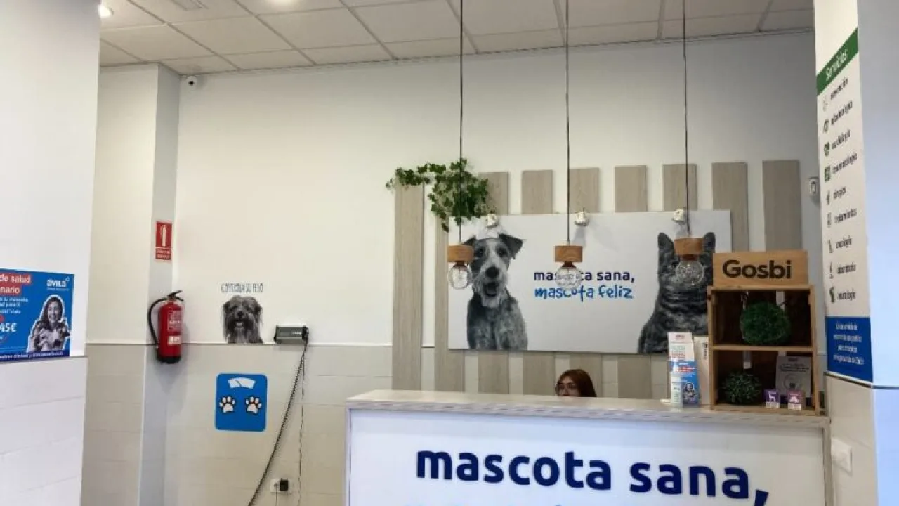 Peluquería Clínicas Ávila Cádiz Asdrúbal