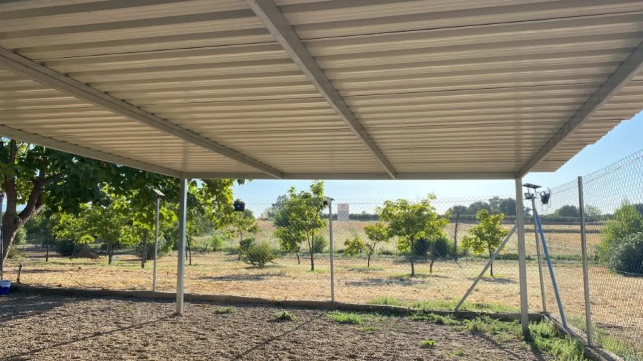 Adiestramiento Córdoba - Residencia Canina