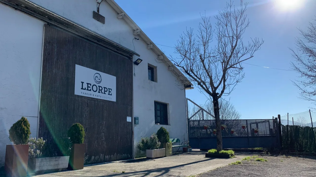 Leorpe Residencia Canina y Felina