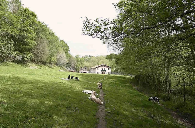 Residencia Canina Manterola