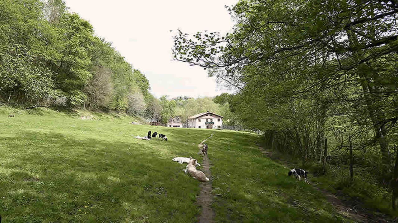 Residencia Canina Manterola