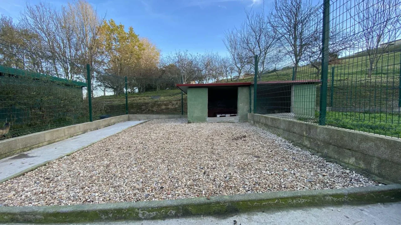 Residencia Canina Bahía de Txingudi