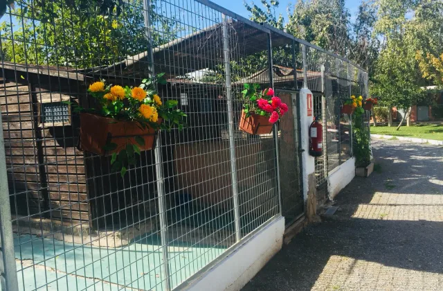 Residencia Las Chiveas